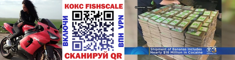 Кокаин Fish Scale  Заполярный 