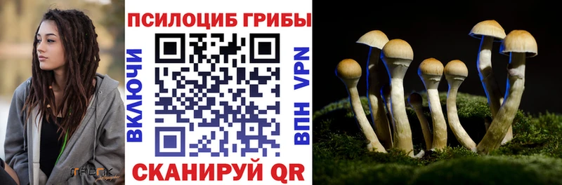 цена наркотик  Заполярный  Псилоцибиновые грибы Psilocybine cubensis 